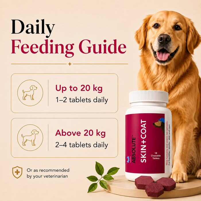 Drools Absolute Skin & Coat Tablets for Dog