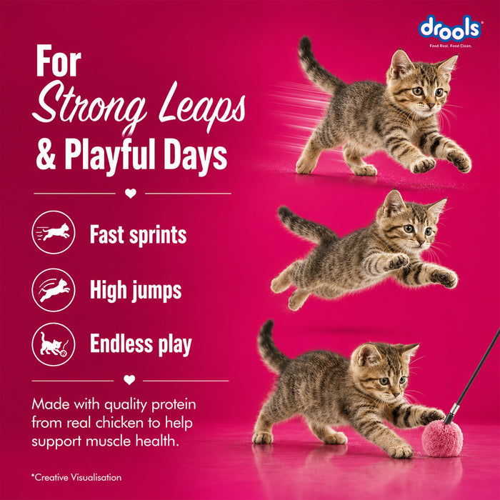 Drools Creamy Treats Salmon & Skipjack for Cat