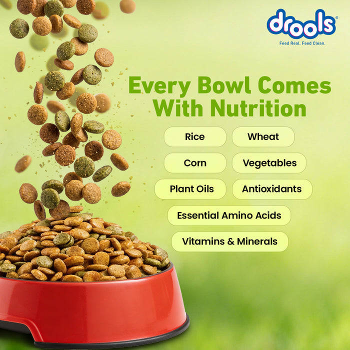 Drools All Lifestages Veg Dry Dog Food for Dog