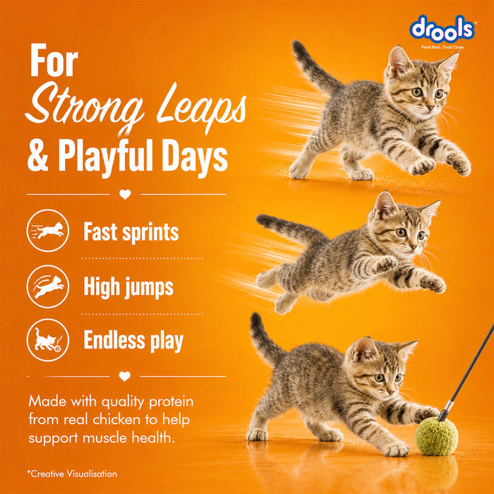 Drools Creamy Treats Tuna & Bonito for Cat
