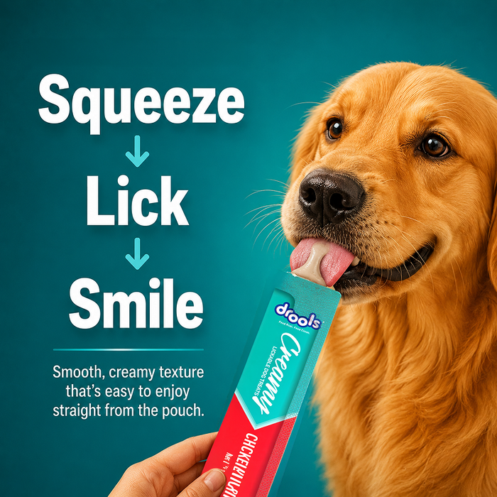 Drools Creamy Chicken & Pumpkin Sticks Treats for Dog