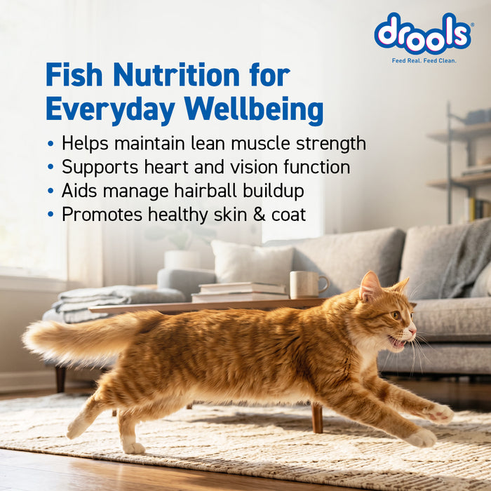Drools Tuna and Salmon Adult Food for Cat