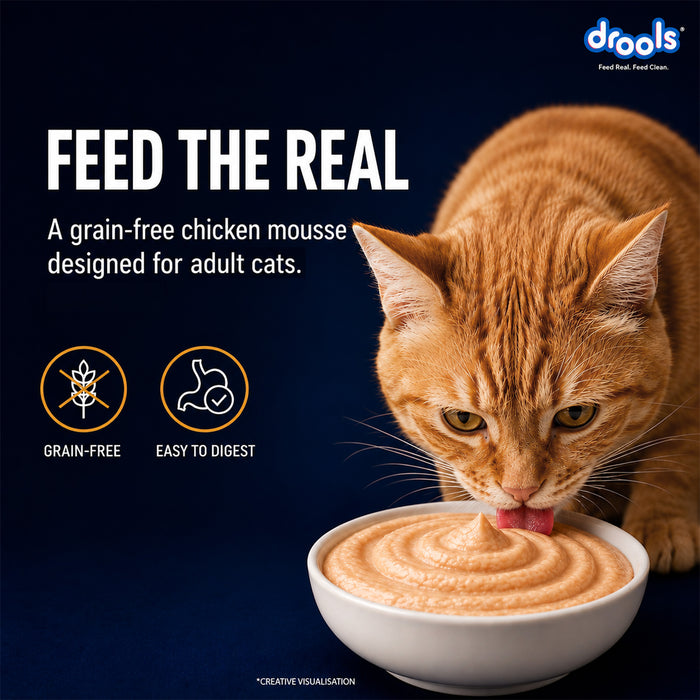 Drools Chicken Mousse Food for Cat