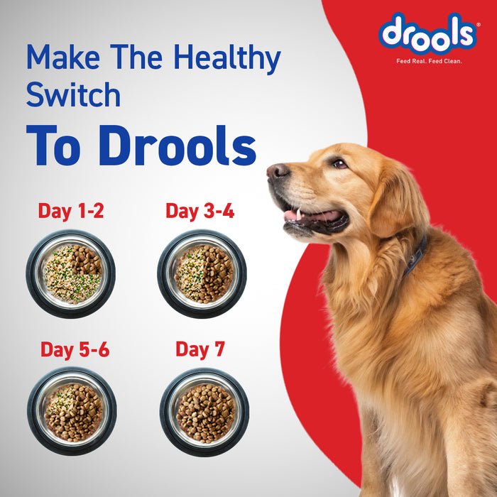 Drools Optimum Performance Adult Food for Dog
