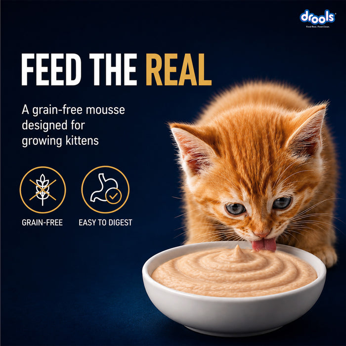 Drools Chicken Mousse Kitten Food for Cat