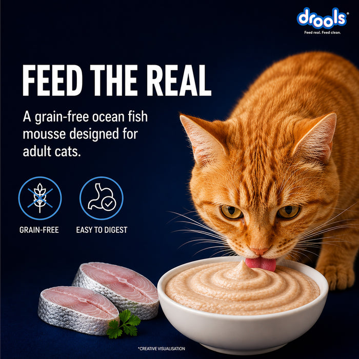 Drools Ocean Fish Mousse Food for Cat