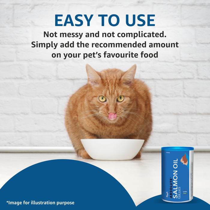 Drools Salmon Oil Syrup for Cat