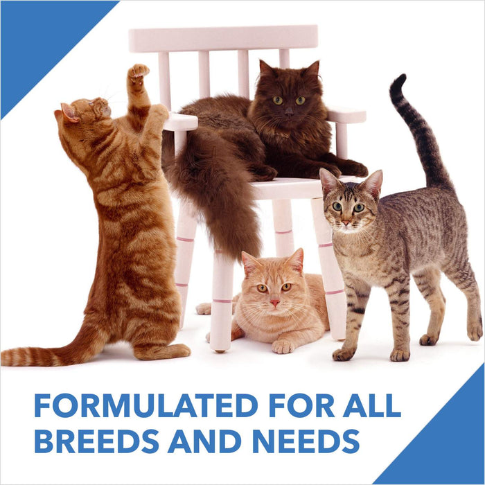 Drools Ocean Fish Adult Food for Cat