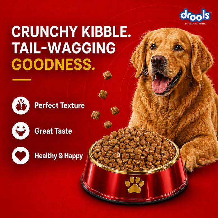 Drools Fish and Rice Adult Food for Dog
