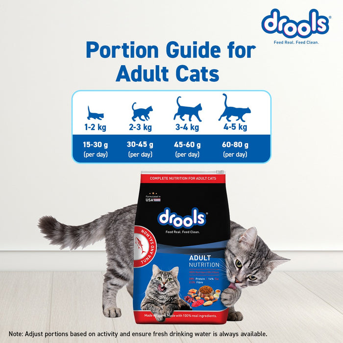 Drools Tuna and Salmon Adult Food for Cat