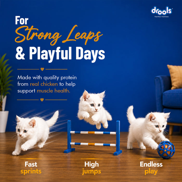 Drools Creamy Lickable Tuna & Bonito Treats for Cat