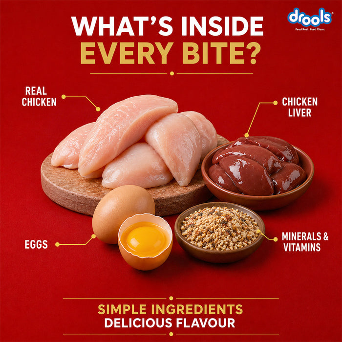 Drools Puppy Chicken Chunks Gravy Food for Dog