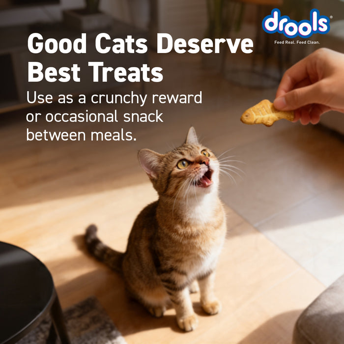 Drools Biscuit Treats for Cat