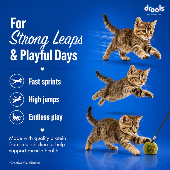Drools Creamy Real Chicken Sticks Treats for Cat