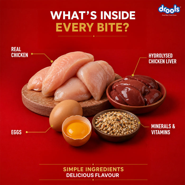 Drools Adult Chicken Chunks Gravy Food for Dogs