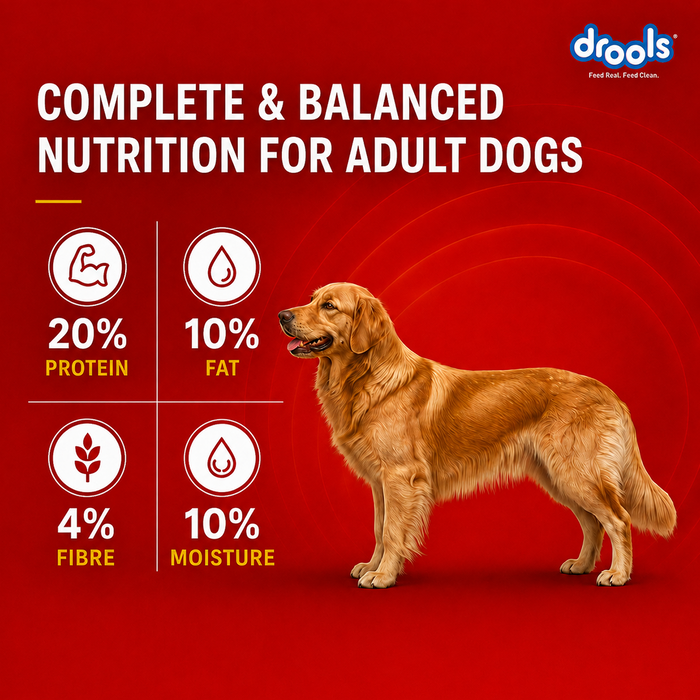 Drools CEA Food for Dog