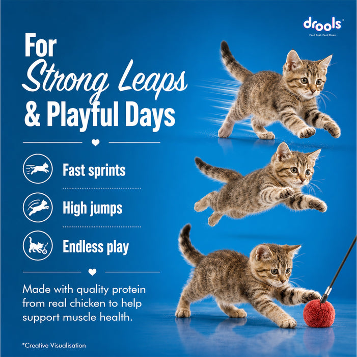 Drools Creamy Seafood Medley Sticks Treats for Cat