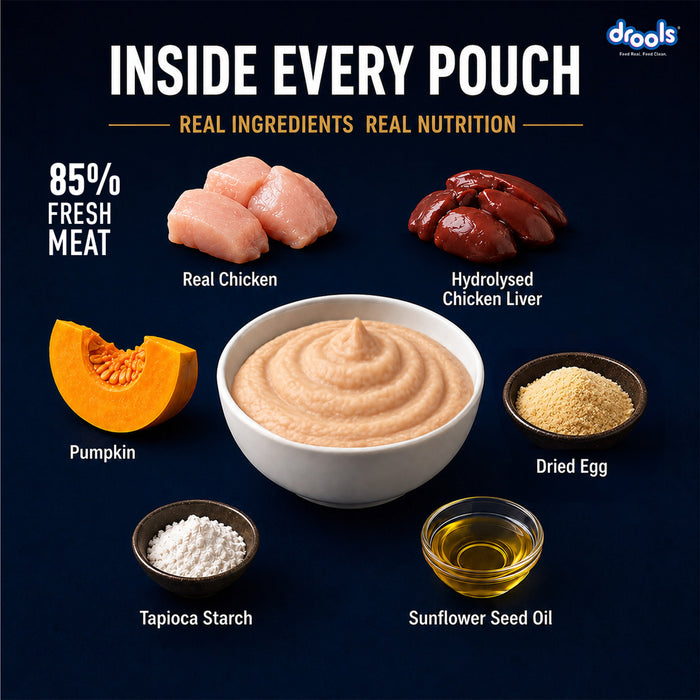 Drools Chicken Mousse Kitten Food for Cat