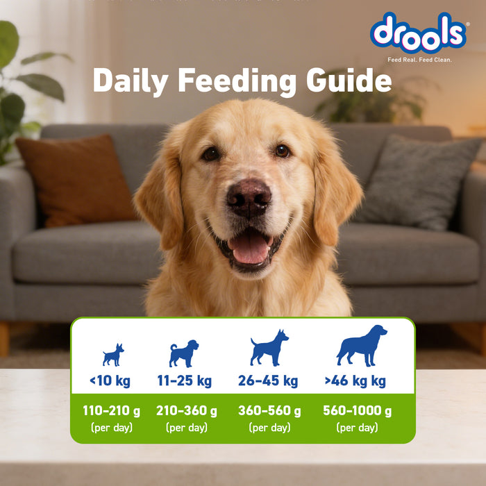 Drools All Lifestages Veg Dry Dog Food for Dog