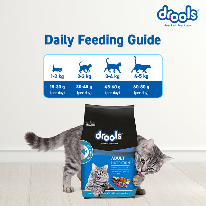 Drools Adult Dry Cat Food Ocean Fish for Cat