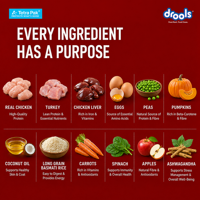 Drools Tetra Pack Real Chicken and Turkey Food for Dog