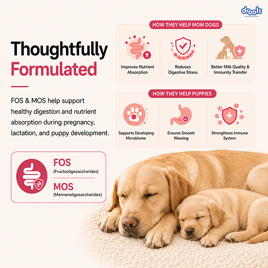 Drools Chicken and Egg Mother & Puppy Dry Food for Dog