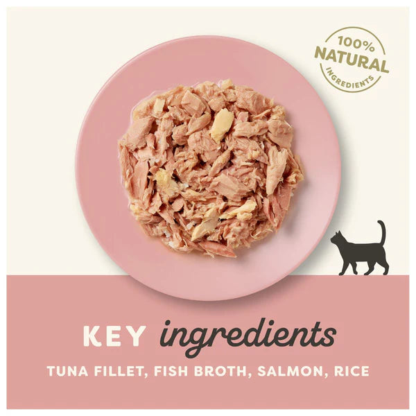 Applaws Tuna Fillet with Salmon in Broth Cat Wet Food