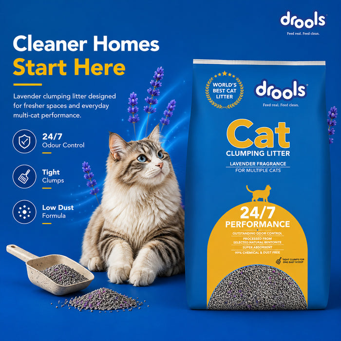 Drools Clumping Lavender Fragrance Cat Litter for Cat