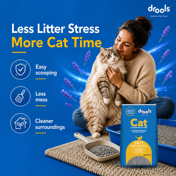 Drools Clumping Lavender Fragrance Cat Litter for Cat