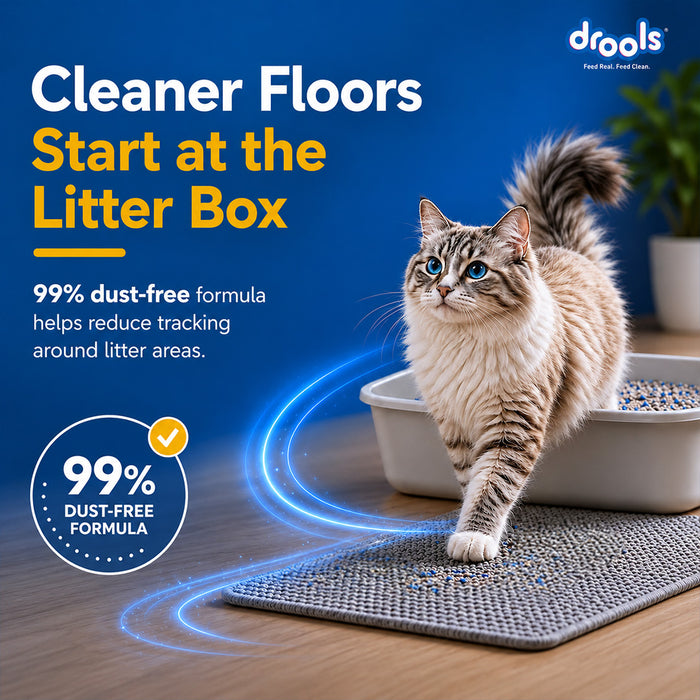 Drools Clumping Lavender Fragrance Cat Litter for Cat