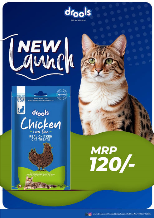 Drools Chicken Liver Dice Treats for Cat