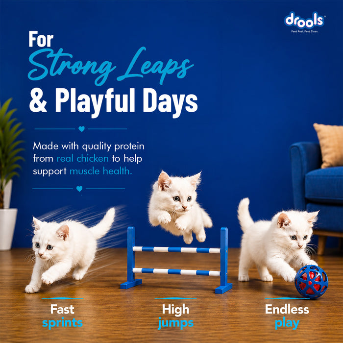 Drools Creamy Lickable Salmon & Skipjack Treats for Cat