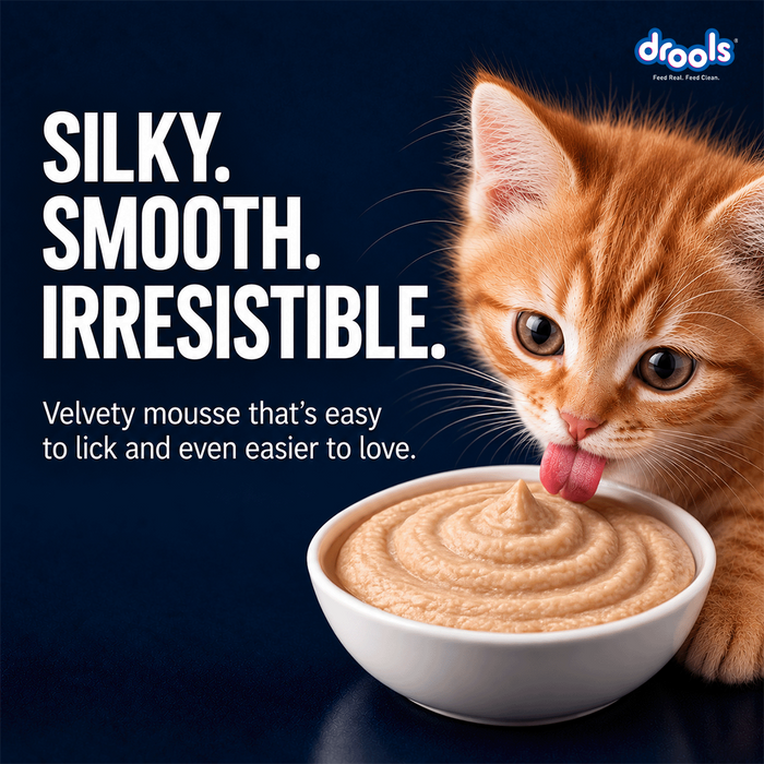 Drools Tuna Mousse Kitten Food for Cat