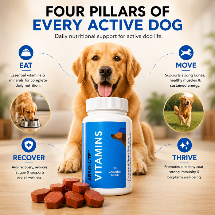 Drools Absolute Vitamin Tablet for Dogs