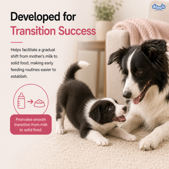 Drools Chicken and Egg Mother & Puppy Dry Food for Dog