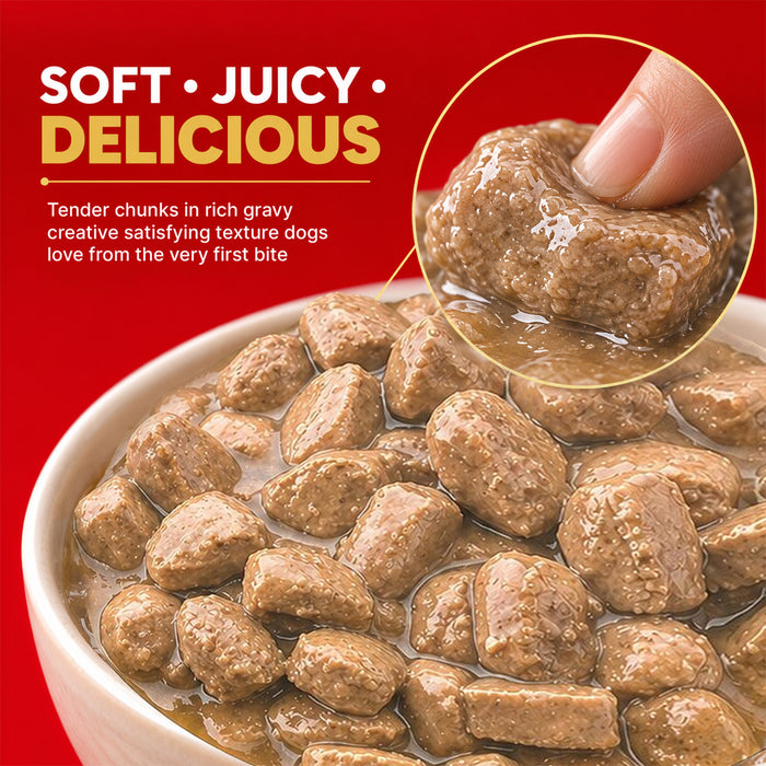 Drools Adult Chicken Chunks Gravy Food for Dogs