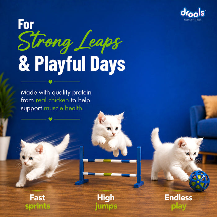 Drools Creamy Lickable Crab & Chicken Treats for Cat