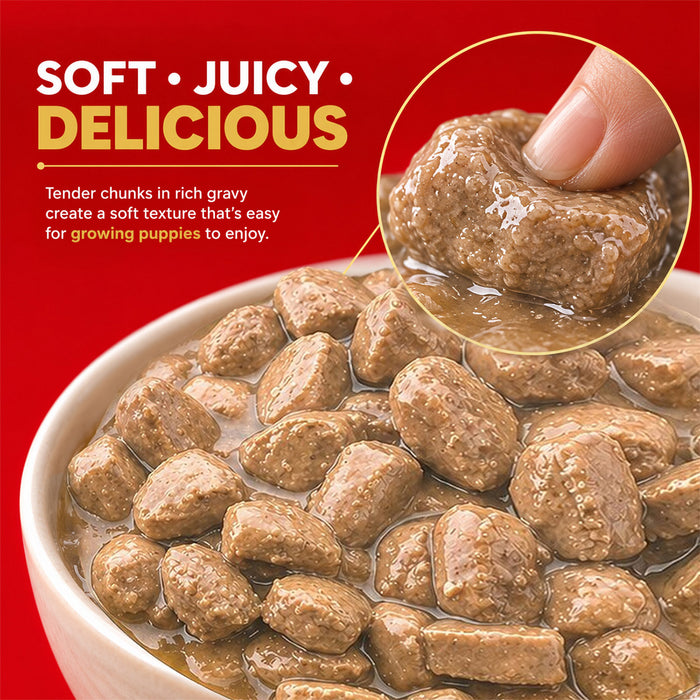 Drools Puppy Chicken Chunks Gravy Food for Dog