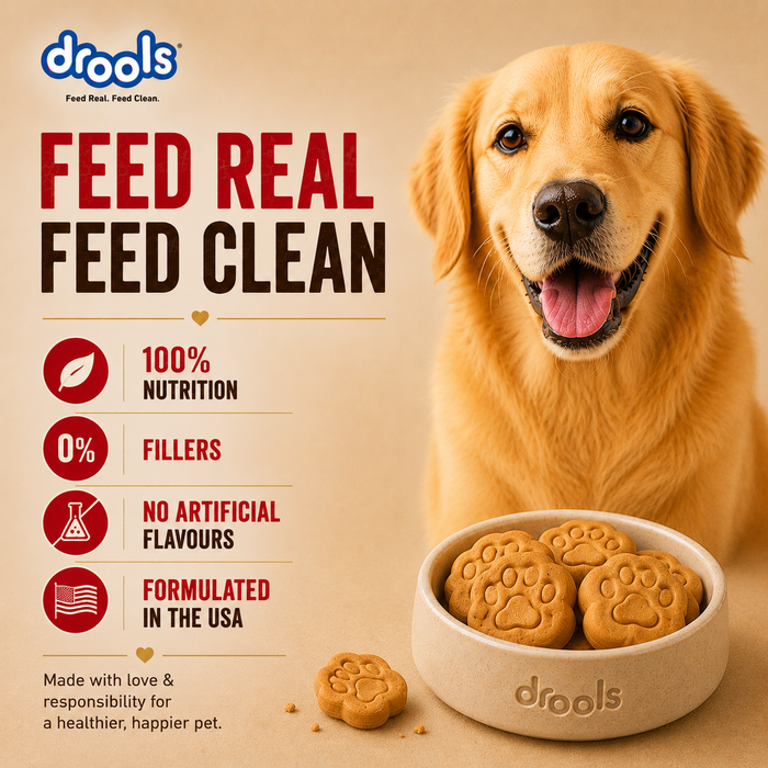 Drools Chicken and Egg Biscuit Treats for Dog
