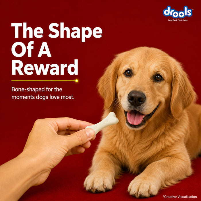 Drools Absolute Milk Bone Treats for Dog