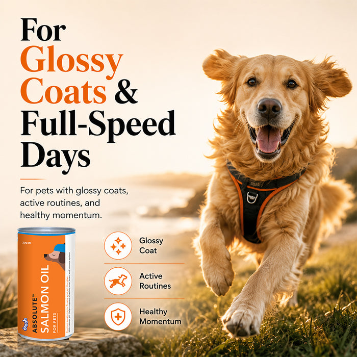 Drools Absolute Salmon Oil Syrup for Dog
