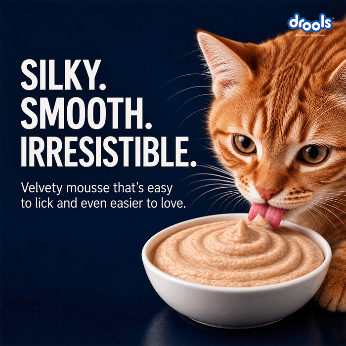 Drools Chicken Mousse Food for Cat