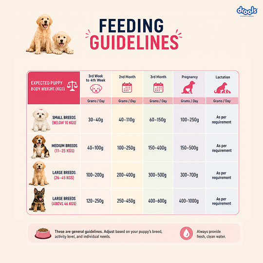 Drools Chicken and Egg Mother & Puppy Dry Food for Dog