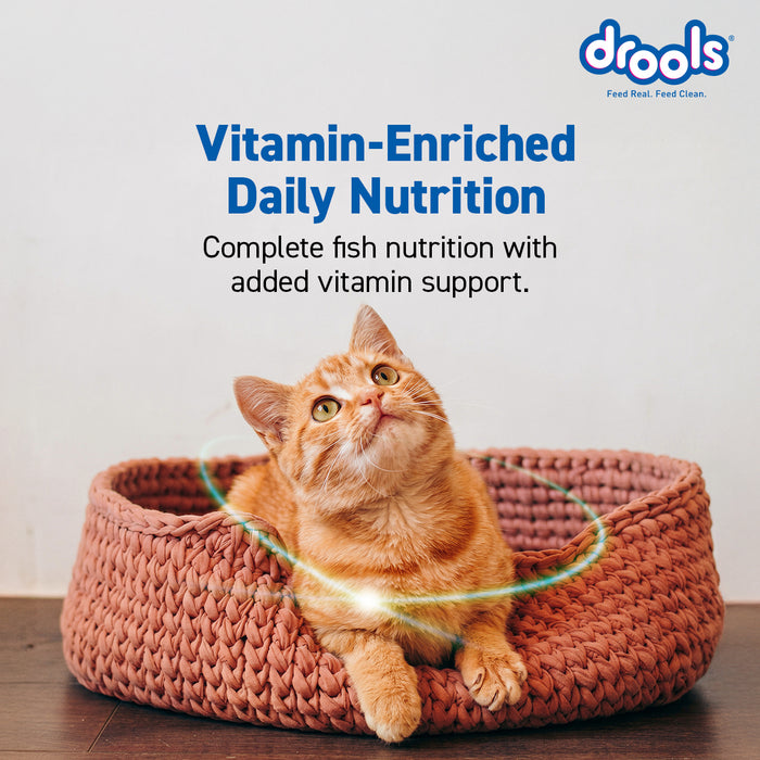 Drools Adult Dry Cat Food Ocean Fish for Cat