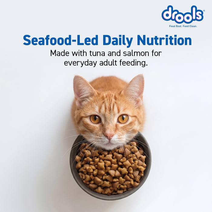 Drools Cat Tuna and Salmon Food for Cat