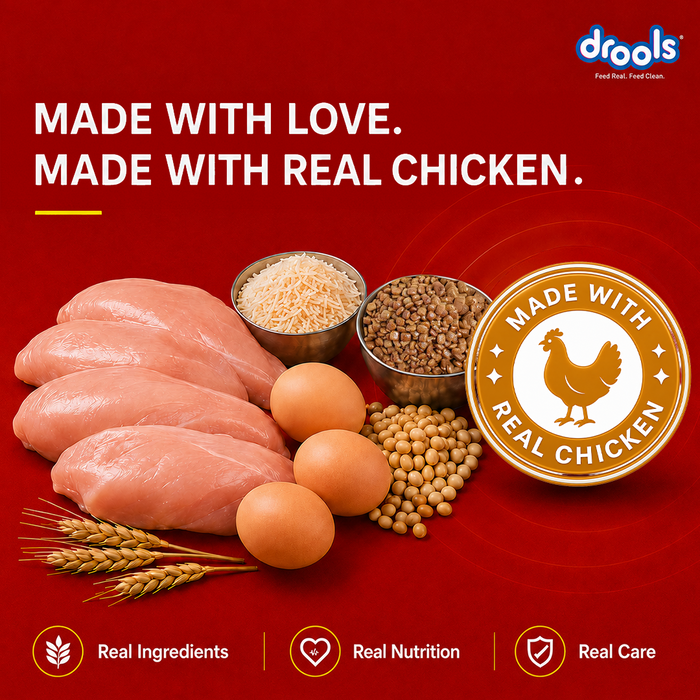 Drools CEA Food for Dog