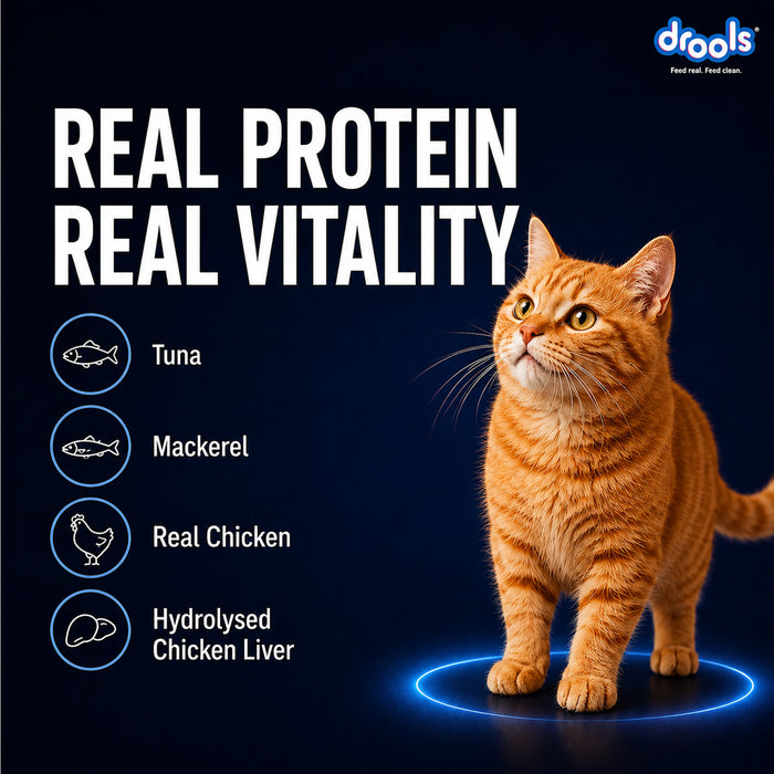 Drools Ocean Fish Mousse Food for Cat