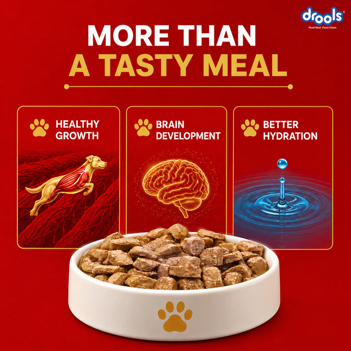 Drools Puppy Chicken Chunks Gravy Food for Dog