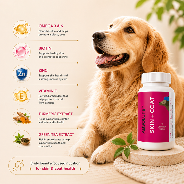 Drools Absolute Skin & Coat Tablets for Dog