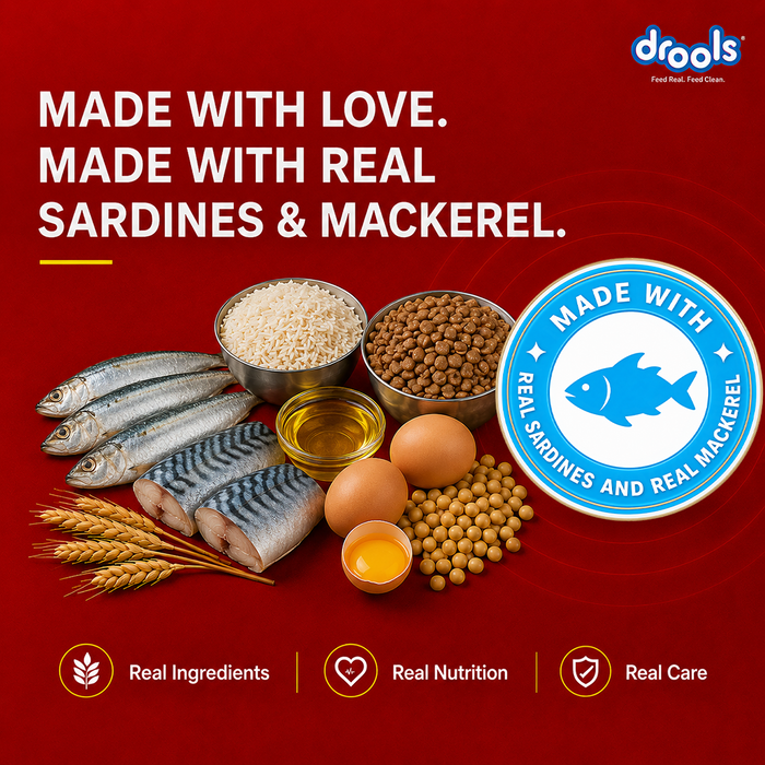Drools Fish and Rice Adult Food for Dog